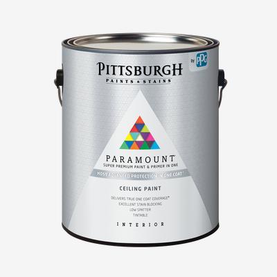 Paramount Ceiling Paint Primer Professional Quality Paint