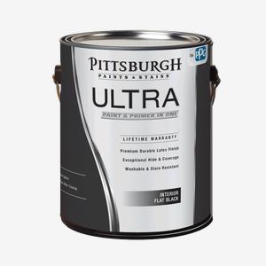 Ultra Interior Flat Black Paint