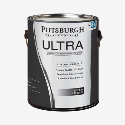ultra flat black paint